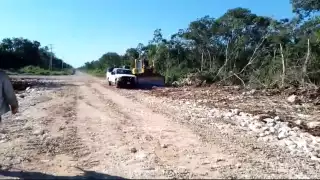 Empresa avícola desmonta seis hectáreas para ampliar sus instalaciones, acusan pobladores