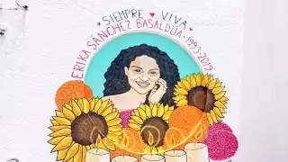 Dictan fallo condenatorio al feminicida de Erika Sánchez Basaldúa 