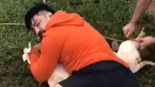 A través de un video en línea se mostró cómo el hombre logró repeler a los caninos