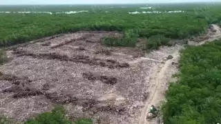 Este mismo mes de junio Profepa y Medio Ambiente Federal lo clausuraron