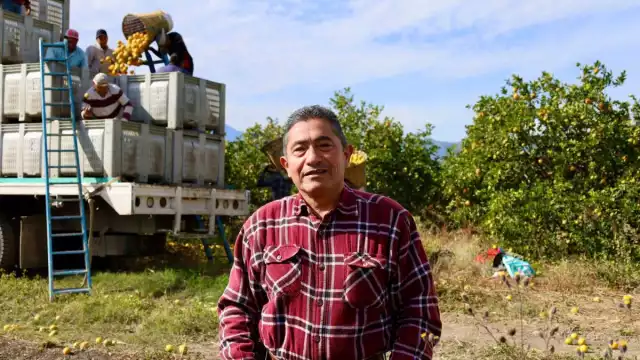 Gregorio Dorantes era conocido como "Lic. Goyo"