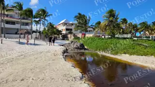 “No es la solución”: Critican relleno con sargazo en acceso a playa de Puerto Morelos