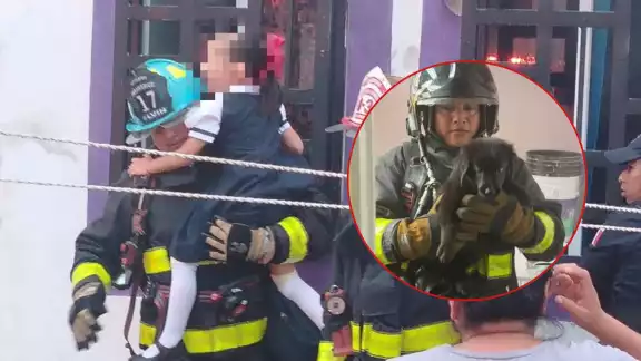 Tanto la menor de cinco años como la mascota se encontraban conscientes y sin lesiones Tanto la menor de cinco años como la mascota se encontraban conscientes y sin lesiones