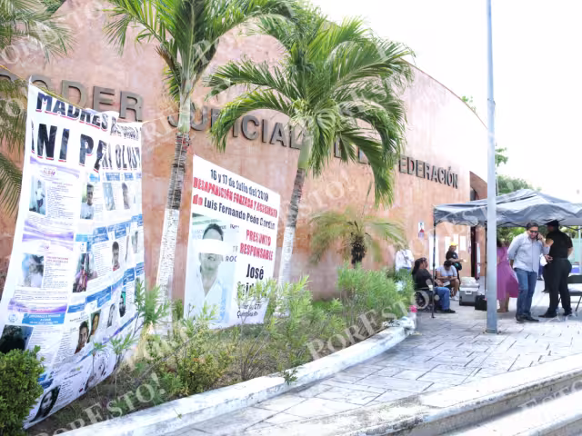 El municipio Benito Juárez concentra la mayor cantidad de incidencias en el estado, con cifras que superan a Yucatán, Colima, Oaxaca, Tlaxcala, Coahuila y Guerrero.