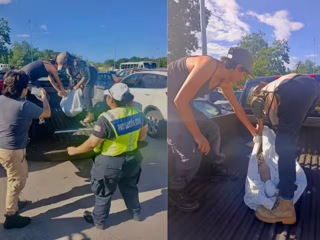 el equipo de rescate procedieron a envolverlo con una sábana para garantizar que no se lastimara