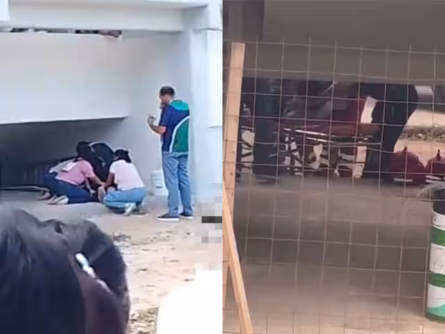 Según versiones el motivo de su decisión fue por bullying o por consumo de sustancias debido a problemas familiares