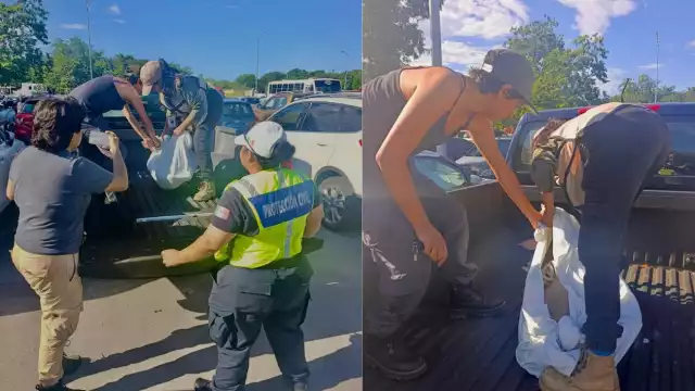 el equipo de rescate procedieron a envolverlo con una sábana para garantizar que no se lastimara