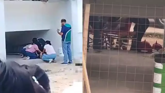 Según versiones el motivo de su decisión fue por bullying o por consumo de sustancias debido a problemas familiares