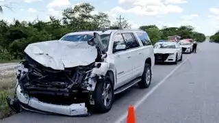 Familia se salva tras chocar contra una vaca en la carretera  Escárcega-Villahermosa