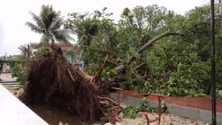 Texas se prepara para el Huracán Beryl y activa alerta máxima y planes de evacuación