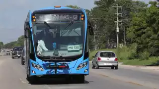 Crean videojuego del Va y Ven en Yucatán: VIDEO