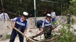 Recolectan 8 toneladas de desechos sólidos tras operativo de limpieza en la ciénega de Progreso 