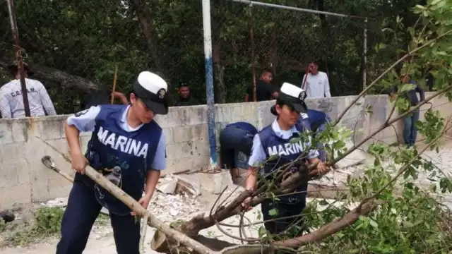 Así fue el operativo en la ciénega de Progreso