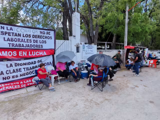 Trabajadores de Conafor y Semarnat en Campeche protestan por descuentos indebidos y abandono institucional