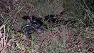    Tres lesionados tras choque entre dos motocicletas en carretera Ciudad del Carmen – Isla Aguada