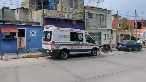 Alerta por enjambre de abejas africanas en la colonia Obrera, deja cinco personas con picaduras