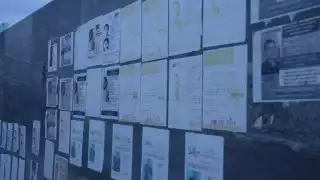 Aumenta la cifra de desaparecidos en Q. Roo: Más de 800 casos en solo nueve meses