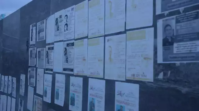 Benito Juárez registra 534 casos de gente se desconoce su paradero; Playa del Carmen, con 204; Othón P. Blanco, 59, y los demás municipios suman 91