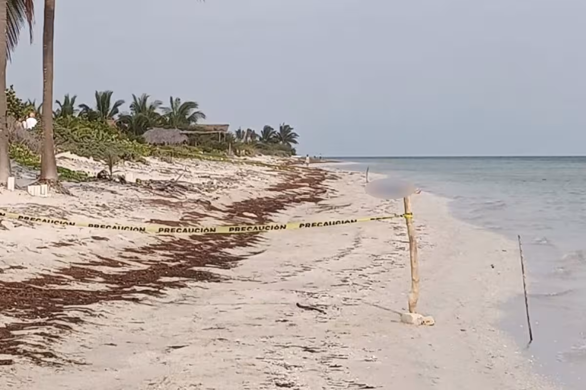 Hombre muere ahogado en el mar en San Crisanto - PorEsto