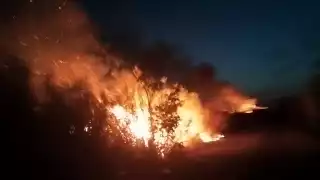 Incendio en la carretera Remate–Tankuché, en Calkiní, pone en riesgo la biosfera de los Petenes