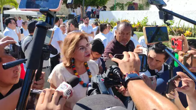 Secretaria de Gobierno, Elisa Hernández Romero