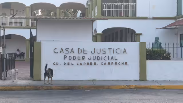 Reducen 30 % del rezago en juzgado laboral de Carmen con apoyo universitario