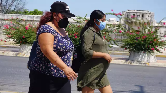 El reporte señala que se tendrá una importante transición demográﬁca para los siguientes años en la Entidad, lo que podría reﬂ ejar mayor control de la natalidad.