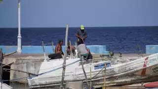 Pescadores de Campeche denuncian saqueo de ostión y pulpo ante falta de vigilancia