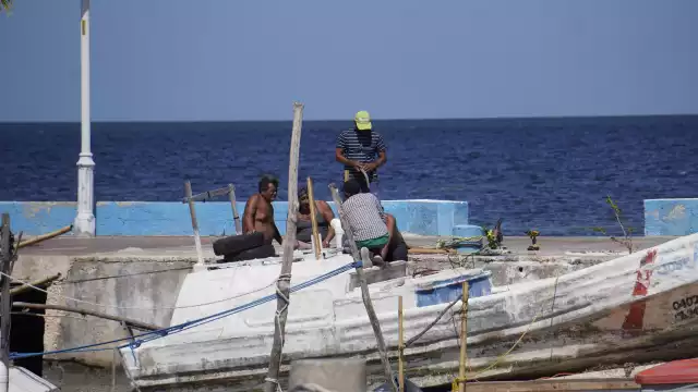 En Lerma impulsan el proyecto de zonas protegidas con respaldo de los diputados para resguardar áreas clave del ecosistema marino