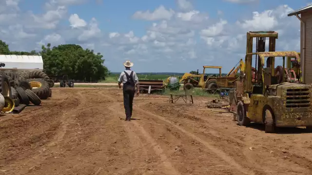 Desde 2009 se han documentado daños ambientales, atribuidos a las actividades de los menonitas