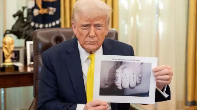 Trump ha tomado severas acciones en contra de la Universidad de Harvard