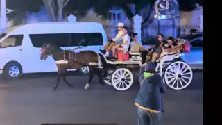 Animalistas de Mérida confrontan a calesero quien trasladaba a siete personas durante un paseo   