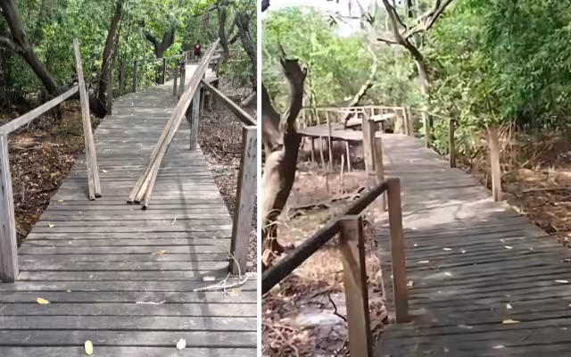 Integrantes del proyecto Ecosendero de La Caleta denunciaron el robo de entre 18 y 20 barandales de madera del muelle ecológico.
