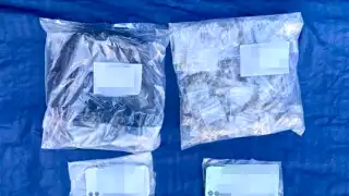 Más de 240 kilos de droga fueron decomisados en sólo ocho meses en Quintana Roo