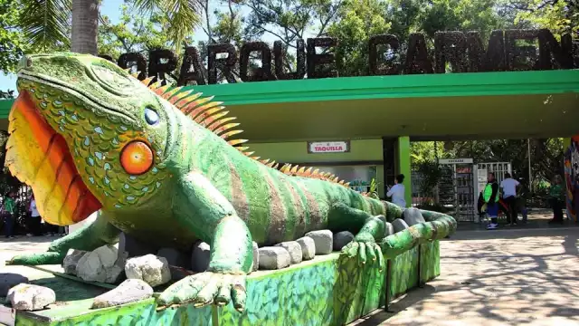 Campeche no cuenta con zoológicos de gran escala, pero sí con espacios de conservación y educación ambiental.