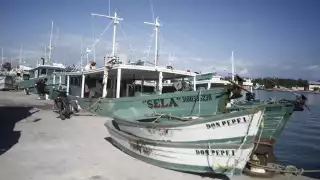 Pescadores calientan motores de cara a la temporada de captura del mero en Yucatán 