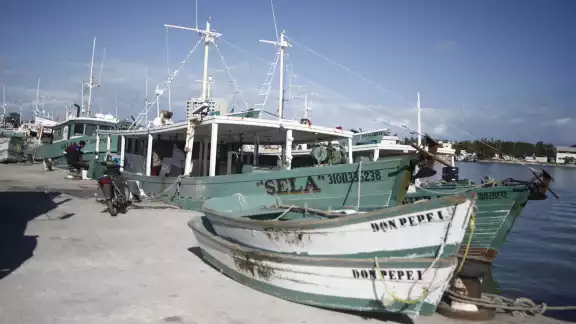 El 90% de las embarcaciones ya se encuentra en puerto y afinando los últimos detalles para zarpar en tiempo y forma El 90% de las embarcaciones ya se encuentra en puerto y afinando los últimos detalles para zarpar en tiempo y forma