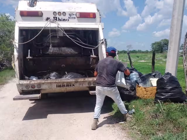 Cuando las unidades se retrasan o de plano no acuden por los desperdicios, los perros rompen las bolsas y riegan los desechos por toda la calle, causando un foco de infección