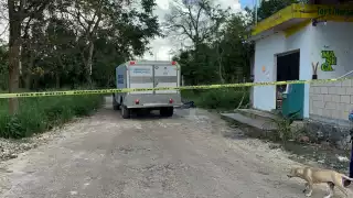 Hallan cráneo y restos óseos en la colonia México, en Cancún