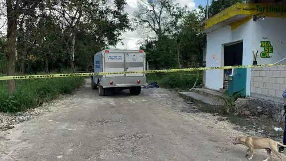 Vecinos de la colonia México encontraron una osamenta en un área verde cerca de la avenida José López Portillo Vecinos de la colonia México encontraron una osamenta en un área verde cerca de la avenida José López Portillo
