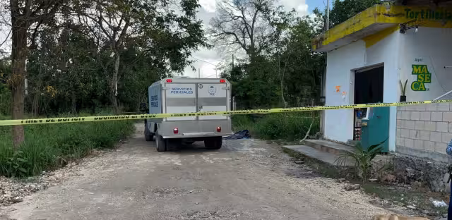 Vecinos de la colonia México encontraron una osamenta en un área verde cerca de la avenida José López Portillo