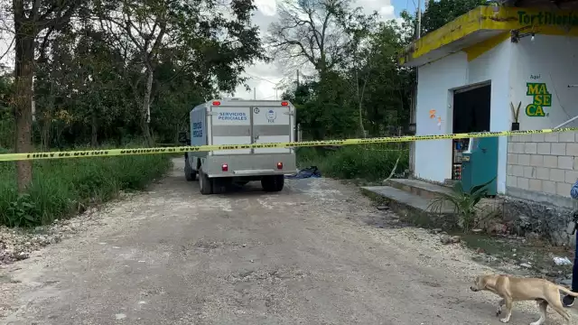 Vecinos de la colonia México encontraron una osamenta en un área verde cerca de la avenida José López Portillo