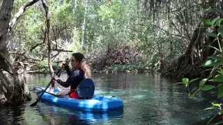 Estos son algunos sitios ideales en Yucatán para practicar kayak   