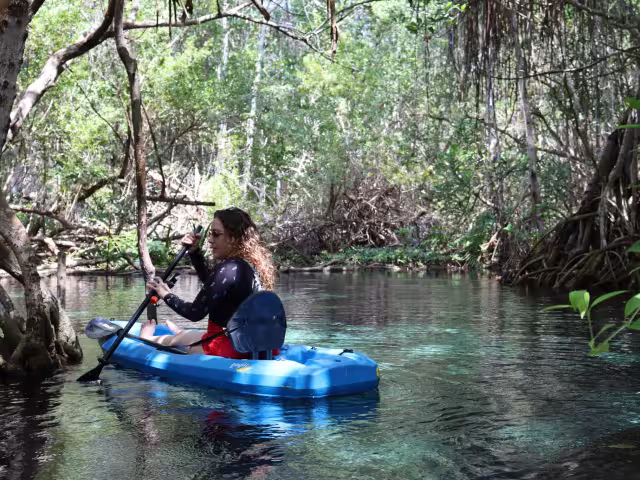 Los recorridos en Kayak son ofrecidos por guías certificados