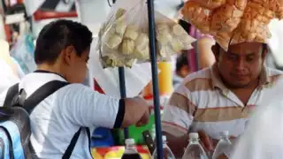 Proponen implementar medidas constitucionales para mejorar alimentación de estudiantes en Q. Roo