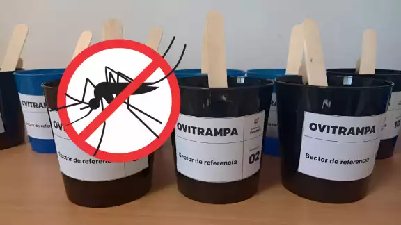 Las ovitrampas permiten monitorear la presencia del mosquito y son esenciales en la detección y control del dengue.