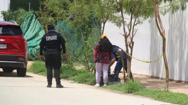 Activistas lamentan que no son pocos los casos donde vecinos se niegan a aportar pruebas