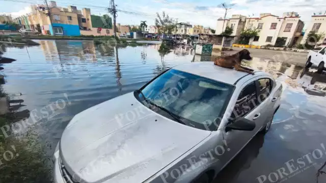 El pronostico será igual para el resto de los días, Las lluvias serán de ligeras a moderadas, de manera aislada e intermitente, principalmente durante las tardes del martes y miércoles