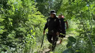 Entre enero y noviembre, 48 personas fueron reportadas como desaparecidas en Yucatán