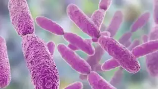 Brote de Klebsiella oxytoca en Edomex arrebata la vida a 13 menores de edad